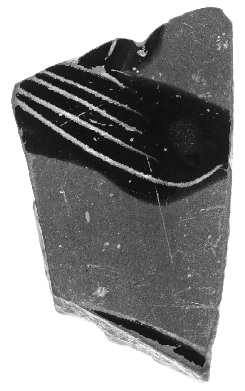 Attic Black-Figure Panathenaic Amphora Fragment