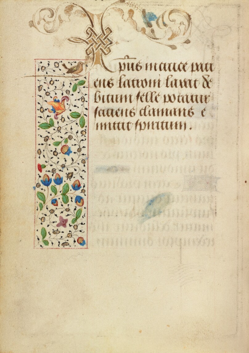 Decorated Text Page