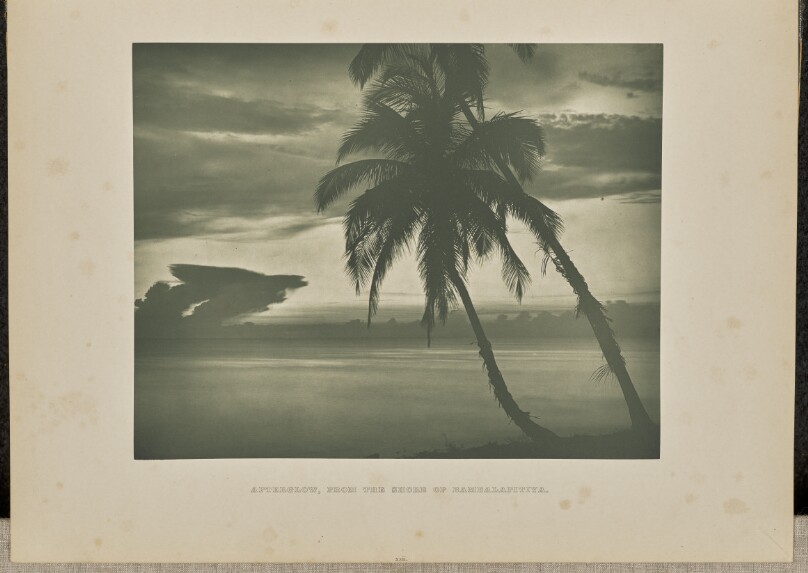 Afterglow, from the Shore of Bambalapitiya