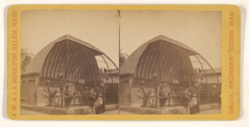 Central Park Scenery, N.Y.