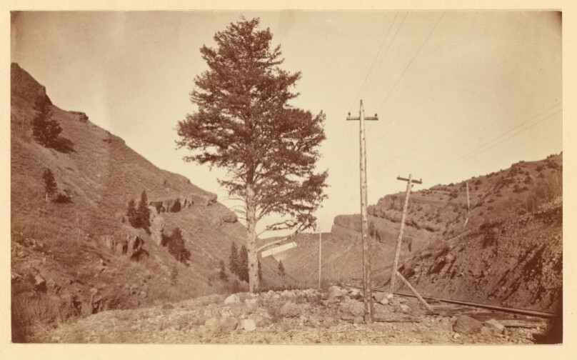 Carleton Watkins