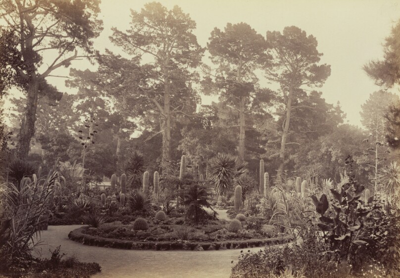 [Arizona Garden, Hotel del Monte, Monterey]