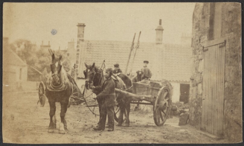 [Horses Pulling a Cart]