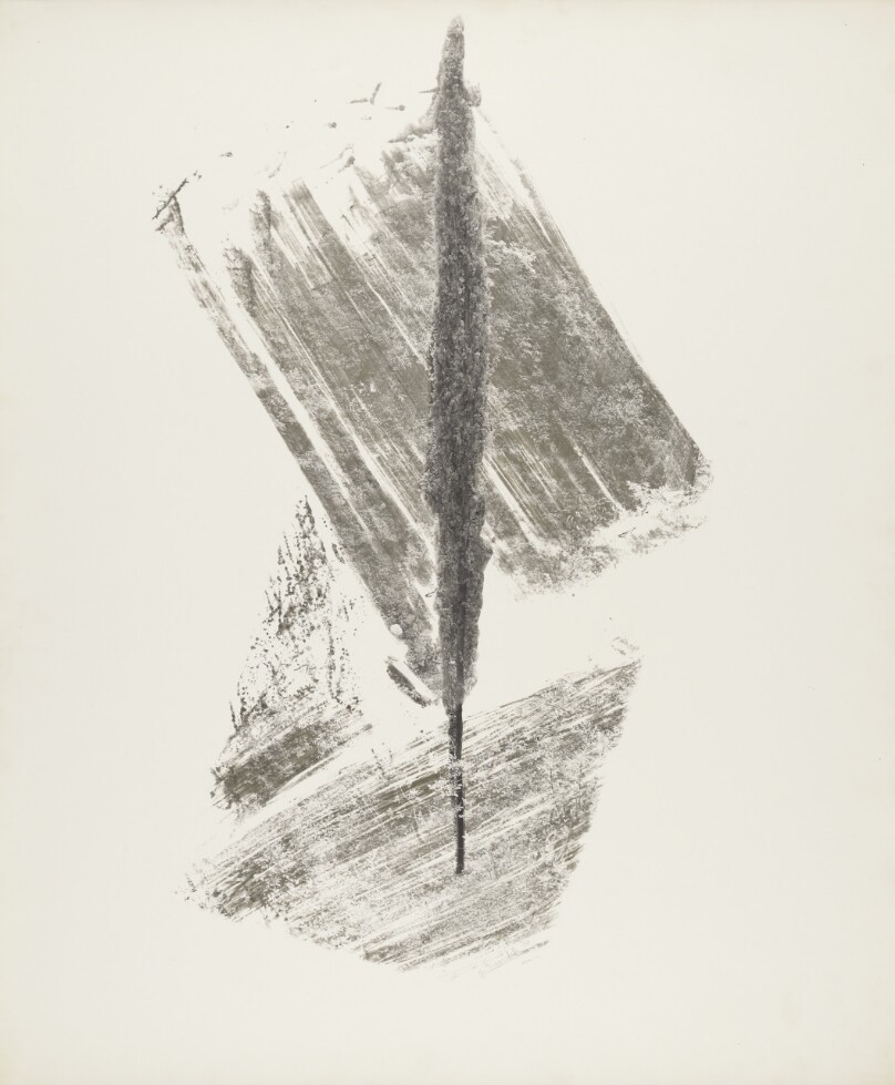Cypress