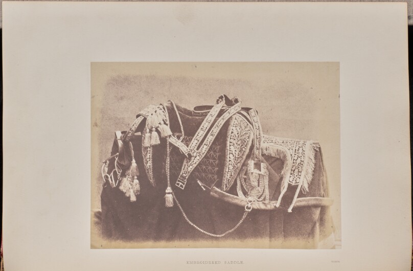 Embroidered Saddle