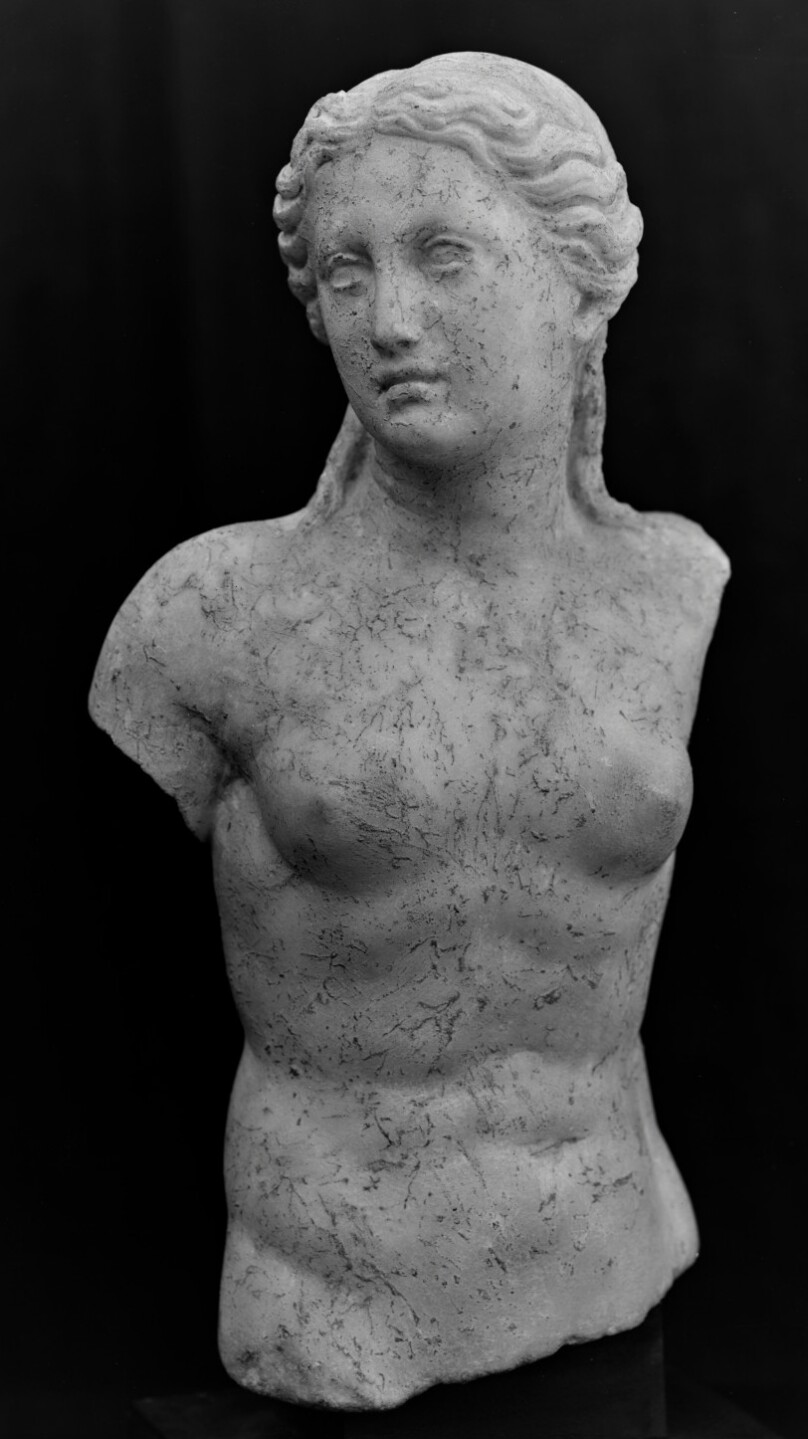 Imitation of a Torso of Aphrodite