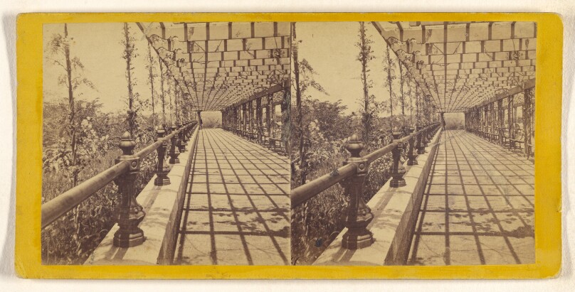 Central Park. The Vine Clad Arbor.