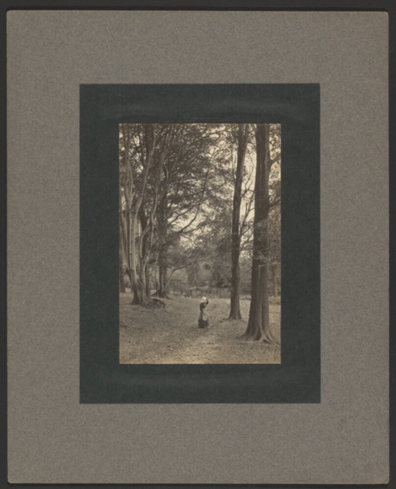 [Woman standing on forest path]