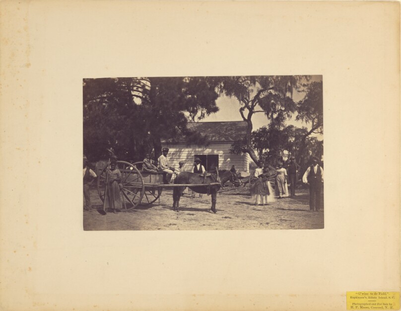 "G'wine to de Field," Hopkinson's, Edisto Island, S. C.