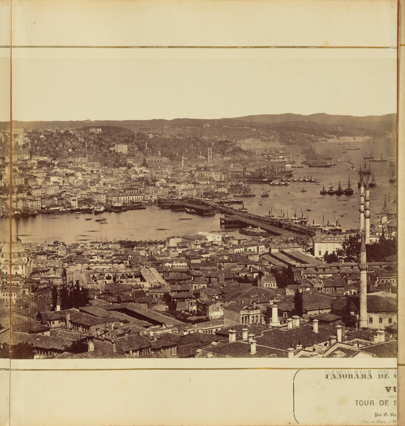 [Plate 4]