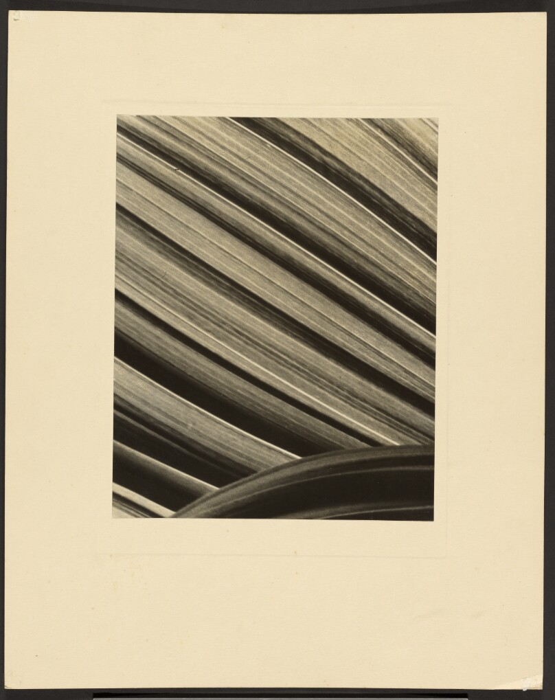[Abstraction]