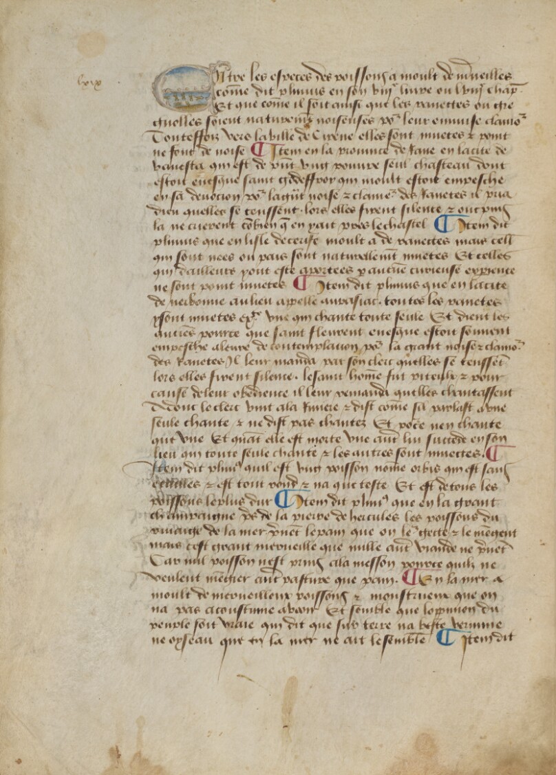 Historiated Initial E: Tree Frogs and Frogs in the Water