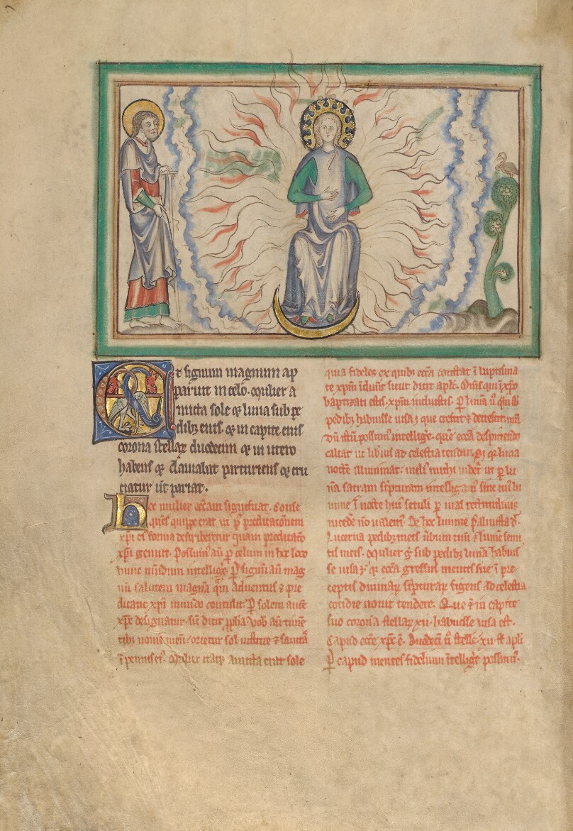 The Woman Clothed in the Sun
