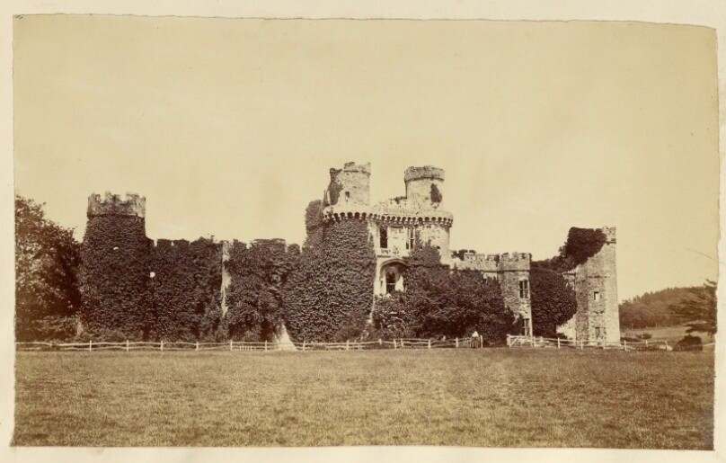 [Overgrown castle ruins]