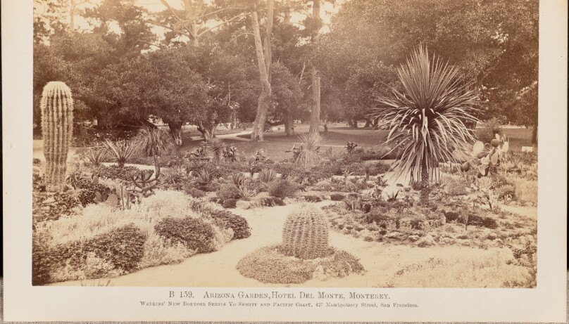 Carleton Watkins