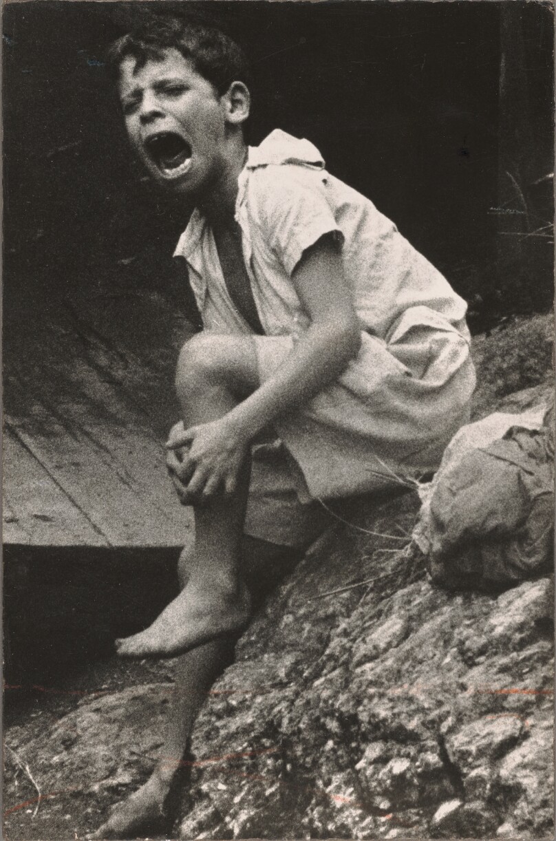 Mario, Crying After Being Bitten by Dog, Rio de Janeiro, Brazil