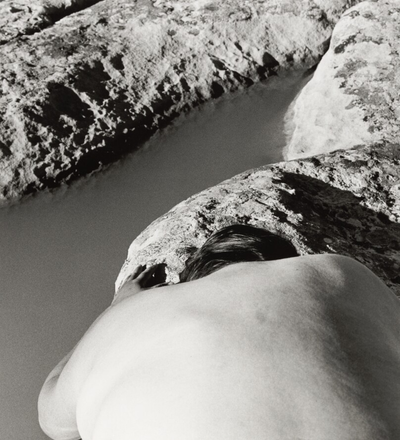 Nature Self-Portrait #8