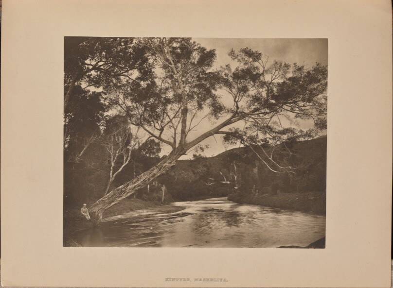 [Kintyre, Maskeliya]