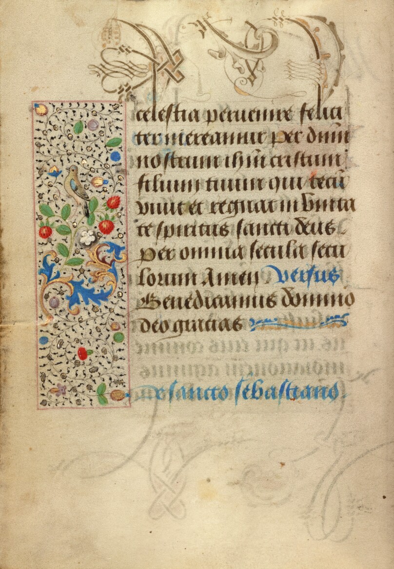 Decorated Text Page