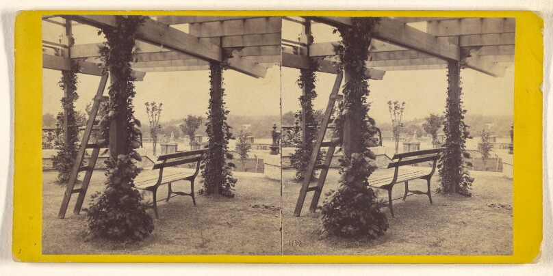 A Visit to the "Central Park" in the Summer of 1863. View From Vine Clad Walk.