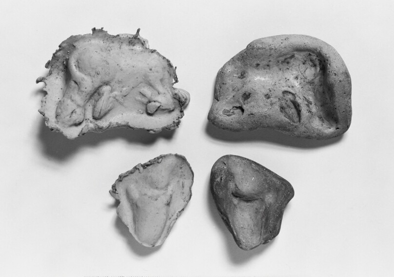 Mold Fragment