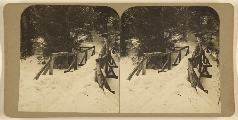 [Snow-covered log bridge]
