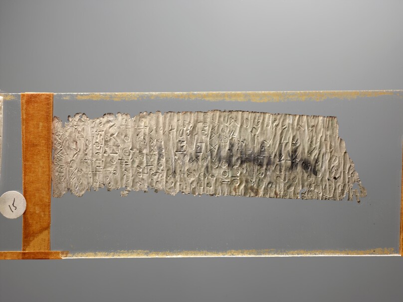 Lamella
