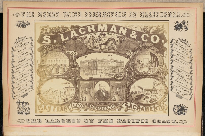 [Illustration of S. Lachman and Company's winemaking facilities]