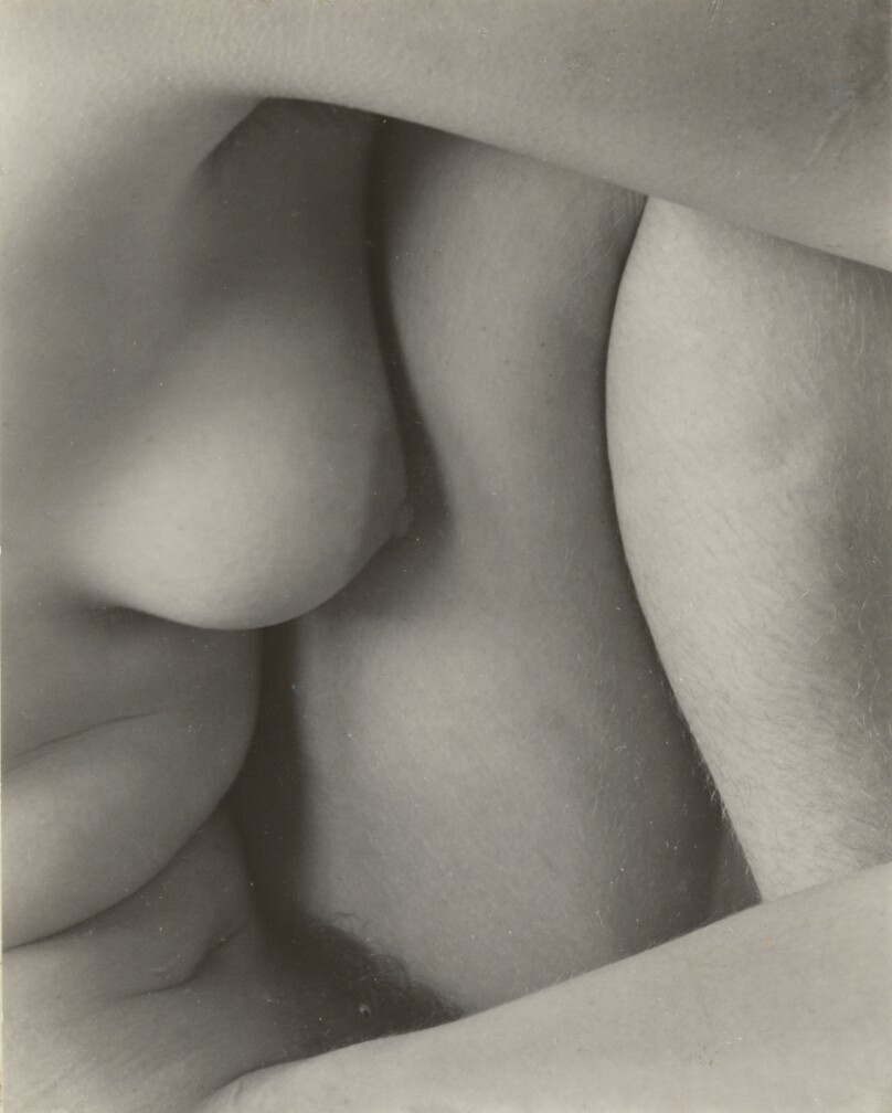 Breast and Leg