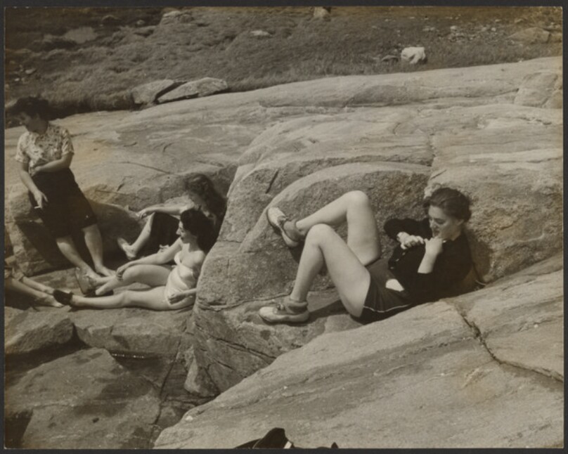 [Class Picnic]