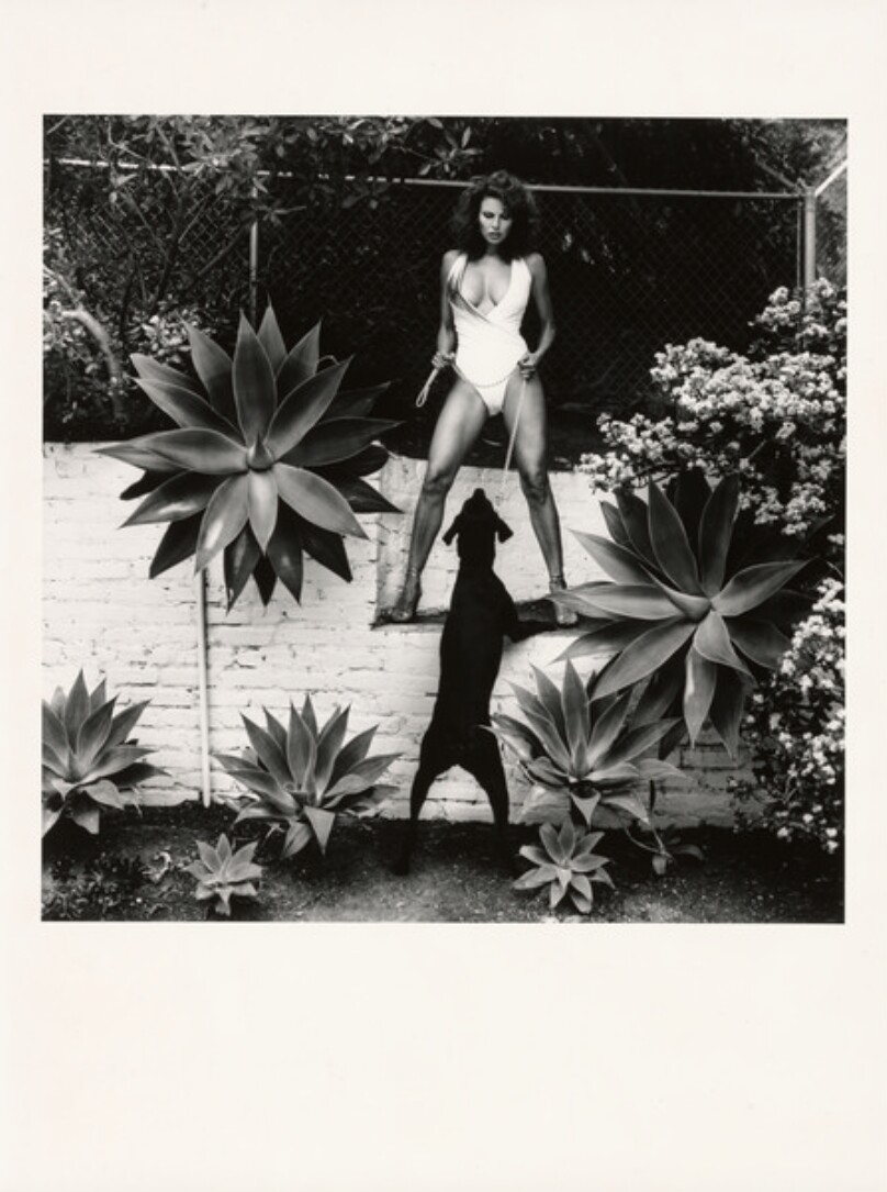 Raquel Welch