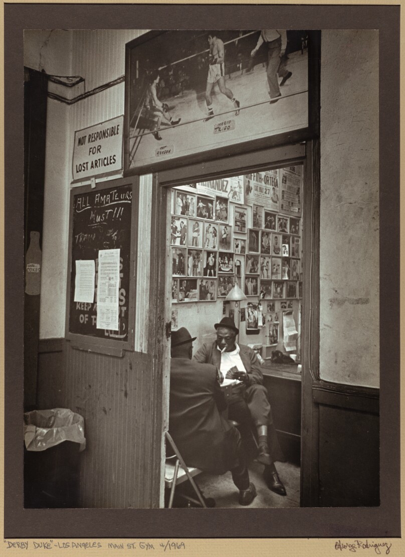 "Derby Duke" Main St. Gym