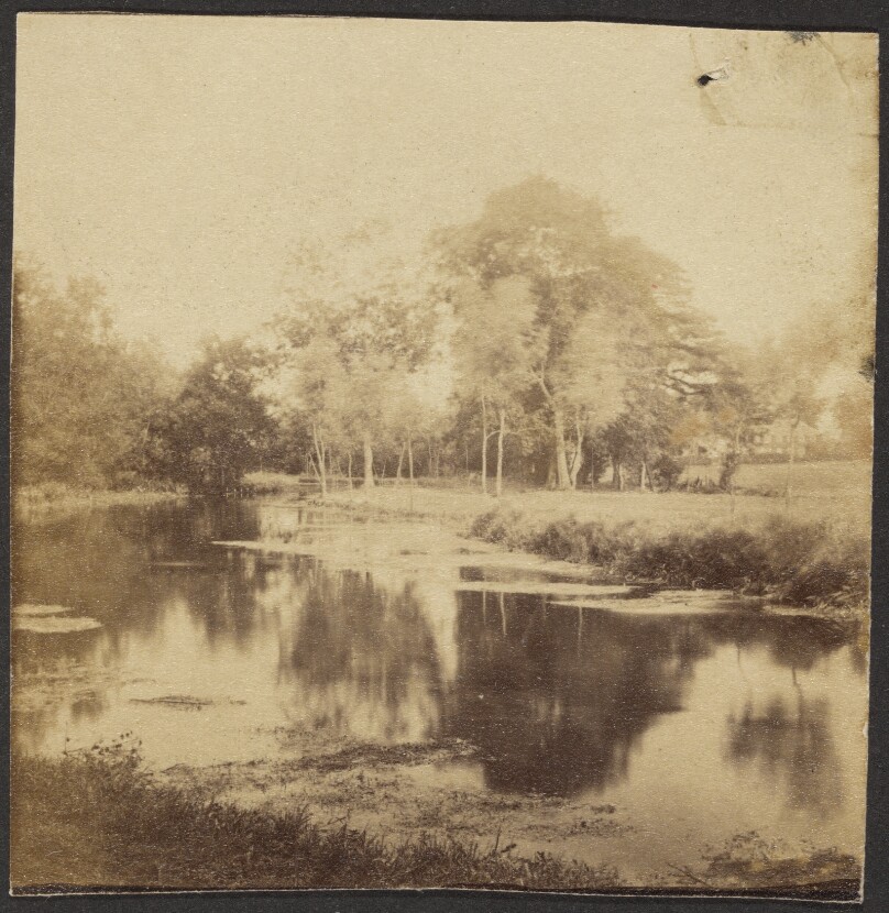 [Landscape with Pond]