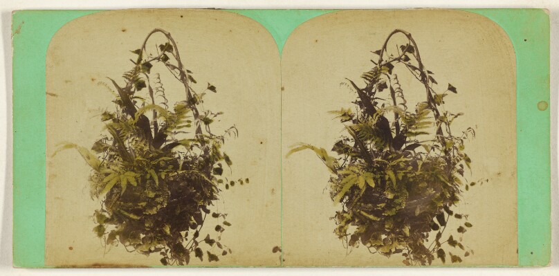 Charles A. Beckford