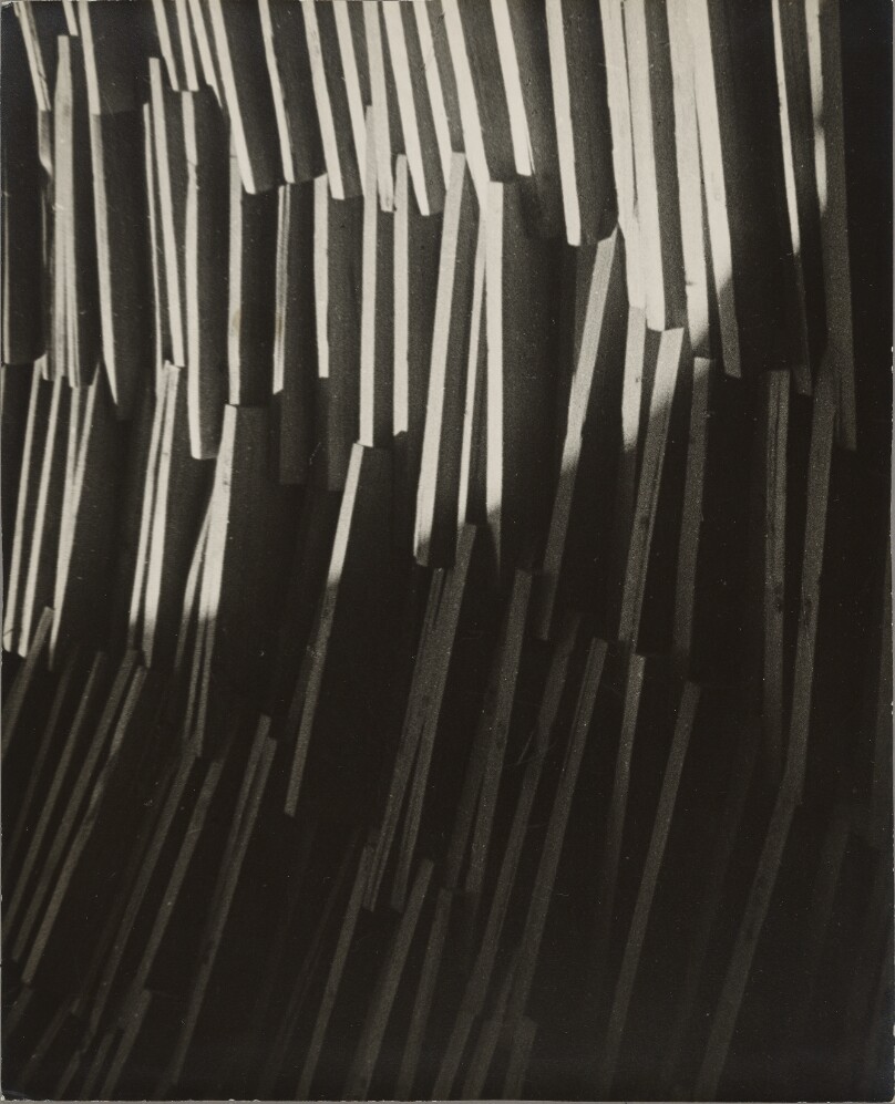 Wood and Shadow