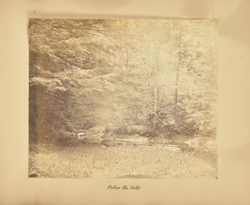 Below the Falls