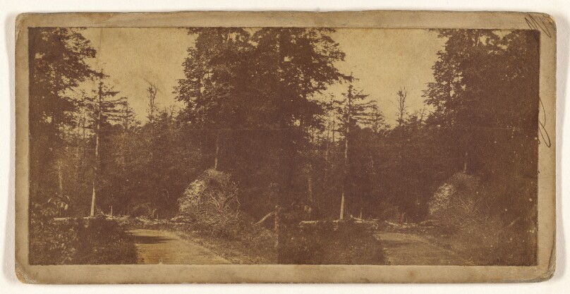 [Forest view] (recto); [Unidentified French city] (verso)