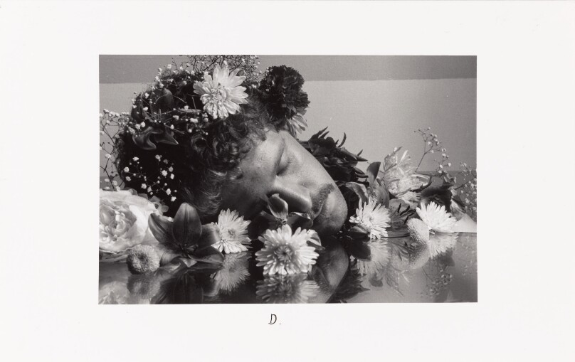 The Dream of Flowers