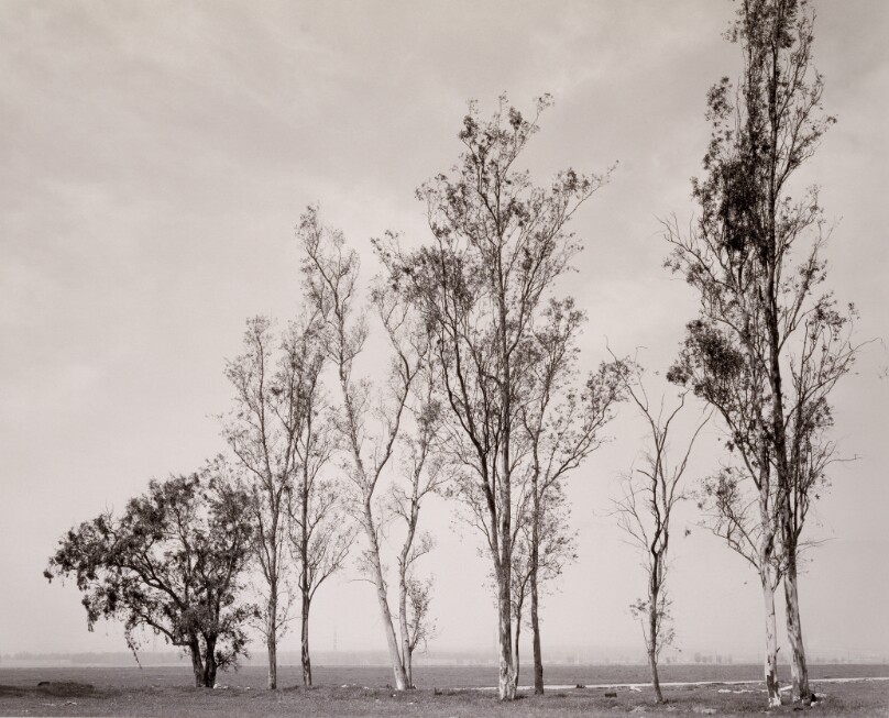 Robert Adams