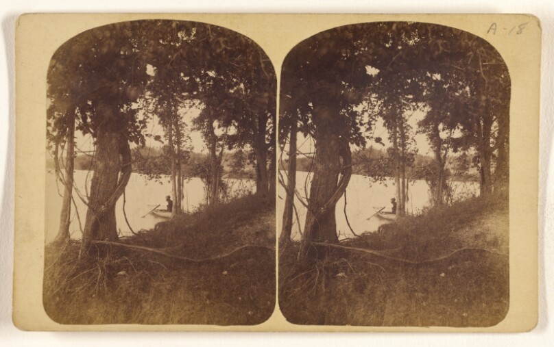 [Island Loon Lake]