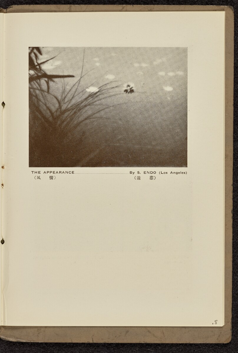The Appearance