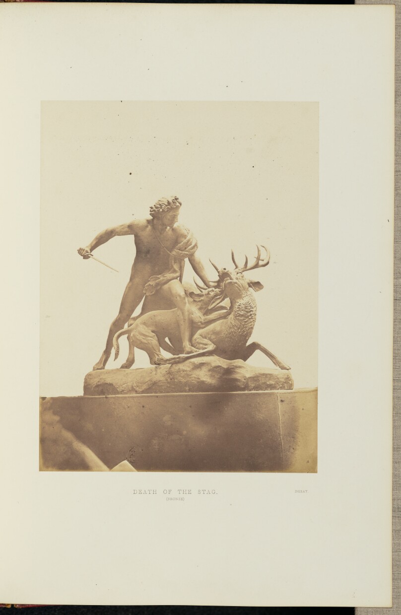 Death of a Stag