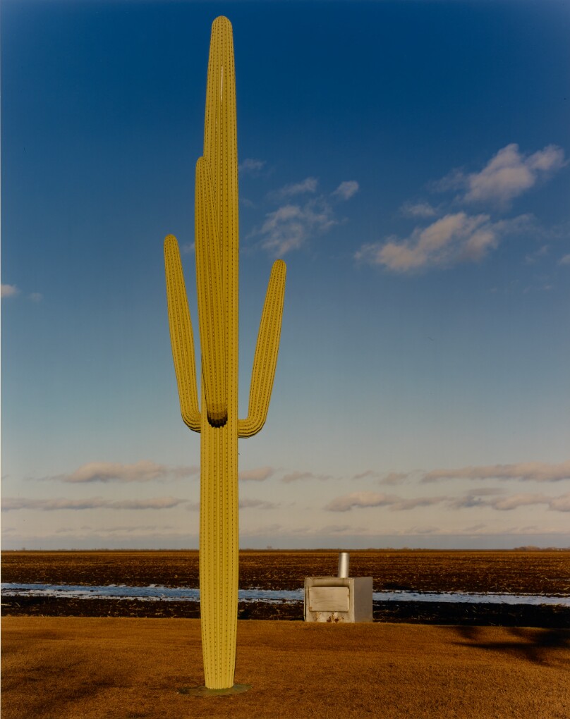 Henry French's Wooden Cactus, Near Cashel, North Dakota
