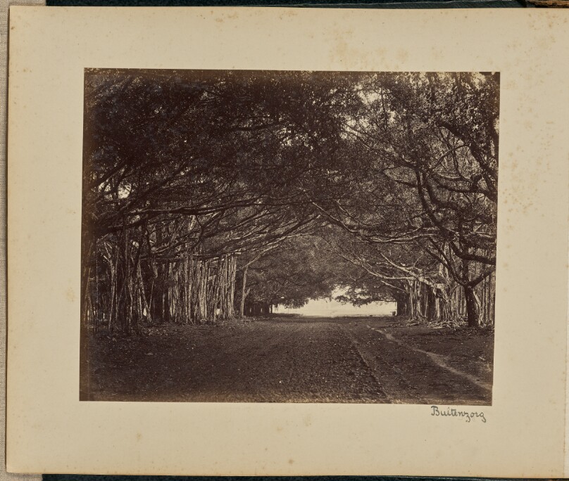 Buitenzorg