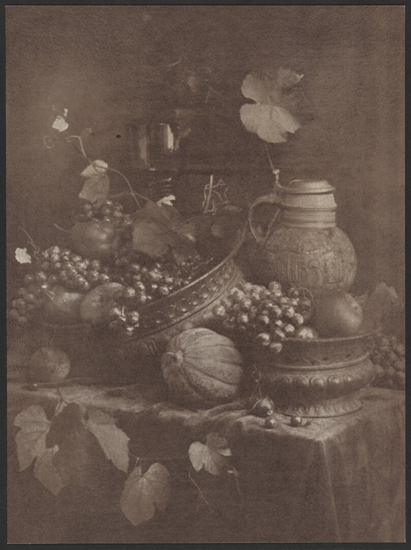 [Still Life]