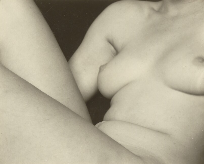 Torso