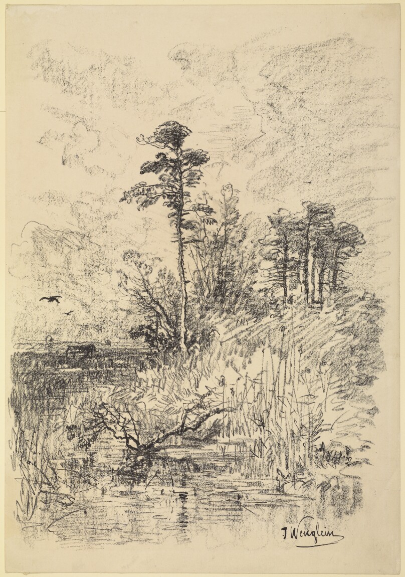 River Landscape
