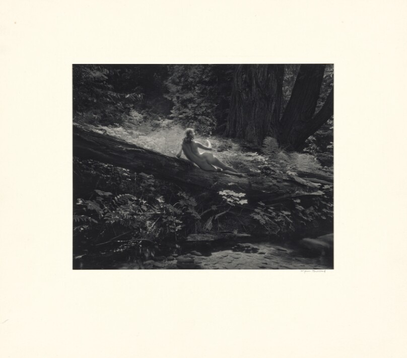 Nude on Log