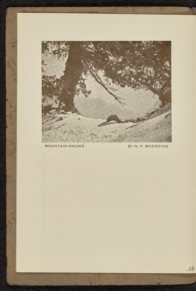 Mountain Snows