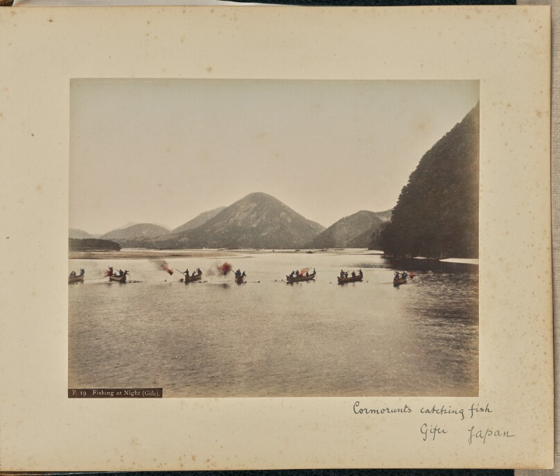 Fishing at Night (Gifu)